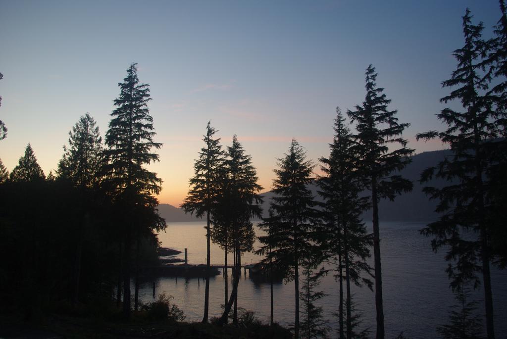 Wild Coast Chalets Port Renfrew Kültér fotó